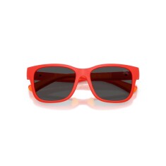 النظارات الشمسية BURBERRY 4007U 423887 50 - 5