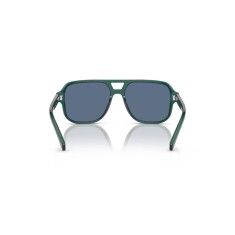 النظارات الشمسية DOLCE & GABBANA 4003 300880 50 - 4