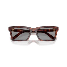 النظارات الشمسية MIU MIU A05S 21C40O 55 - 5