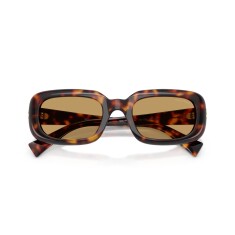 النظارات الشمسية MIU MIU B13S 27L10Y - 5