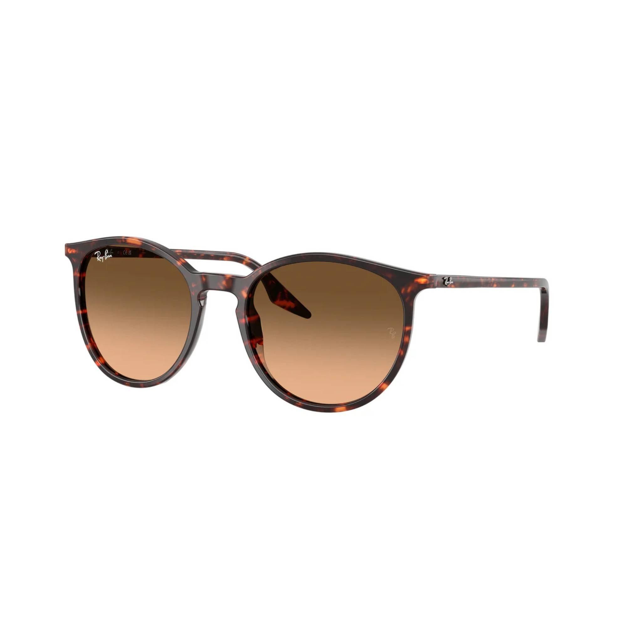 النظارات الشمسية RAY-BAN 2204 14293B 54 - 1