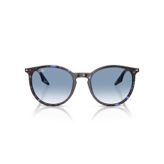 النظارات الشمسية RAY-BAN 2204 14303F 54 - 2