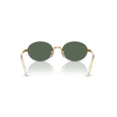 النظارات الشمسية RAY-BAN 3929 001/71 54 - 4