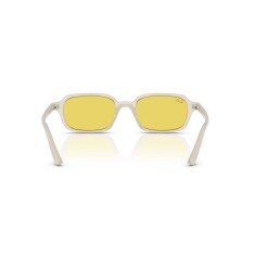 النظارات الشمسية RAY-BAN 4455 68086D 49 - 4