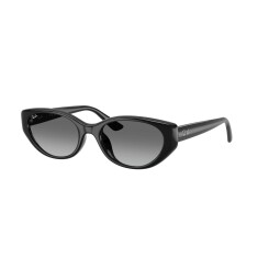 النظارات الشمسية RAY-BAN 4457D 667711 55 - 1