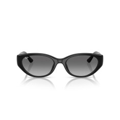النظارات الشمسية RAY-BAN 4457D 667711 55 - 2