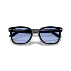 النظارات الشمسية RAY-BAN 4461D 601/80 64 - 5