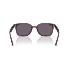 النظارات الشمسية RAY-BAN 4461D 659373 64 - 4