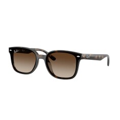 النظارات الشمسية RAY-BAN 4461D 710/13 64 - 1