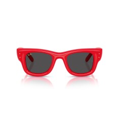 النظارات الشمسية RAY-BAN 4940 683187 47 - 2
