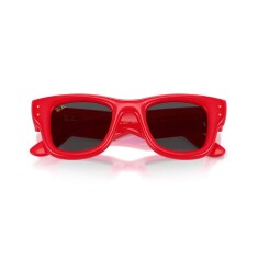 النظارات الشمسية RAY-BAN 4940 683187 47 - 5