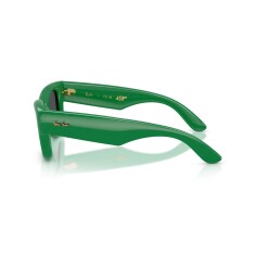 النظارات الشمسية RAY-BAN 4940 683487 47 - 3