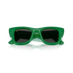 النظارات الشمسية RAY-BAN 4940 683487 47 - 5