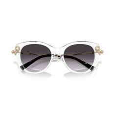 النظارات الشمسية TIFFANY 4232 80473C 53 - 5
