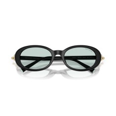 النظارات الشمسية TIFFANY 4242D 8001D9 54 - 5