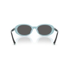 النظارات الشمسية TIFFANY 4242D 8055S4 54 - 4