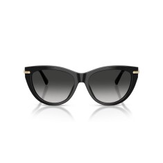 النظارات الشمسية TIFFANY 4253 80013C 55 - 2