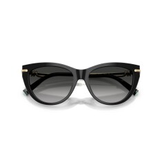 النظارات الشمسية TIFFANY 4253 80013C 55 - 5