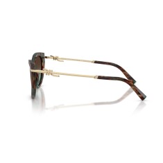 النظارات الشمسية TIFFANY 4253 84425D 55 - 3
