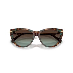 النظارات الشمسية TIFFANY 4253 84425D 55 - 5