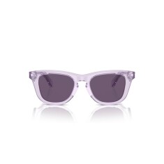 BURBERRY 4002 40951A 46 Sunglasses - 2
