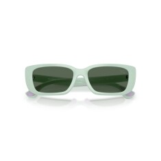 BURBERRY 4006U 423071 50 Солнцезащитные очки - 5