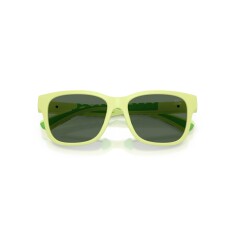 BURBERRY 4007U 423771 50 Sunglasses - 5