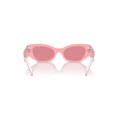DOLCE & GABBANA 6003 30987V 48 Sunglasses - 4