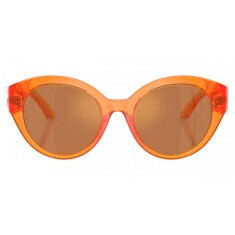 DOLCE & GABBANA 6010 33887J 47 Солнцезащитные очки - 2