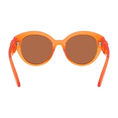 DOLCE & GABBANA 6010 33887J 47 Солнцезащитные очки - 4