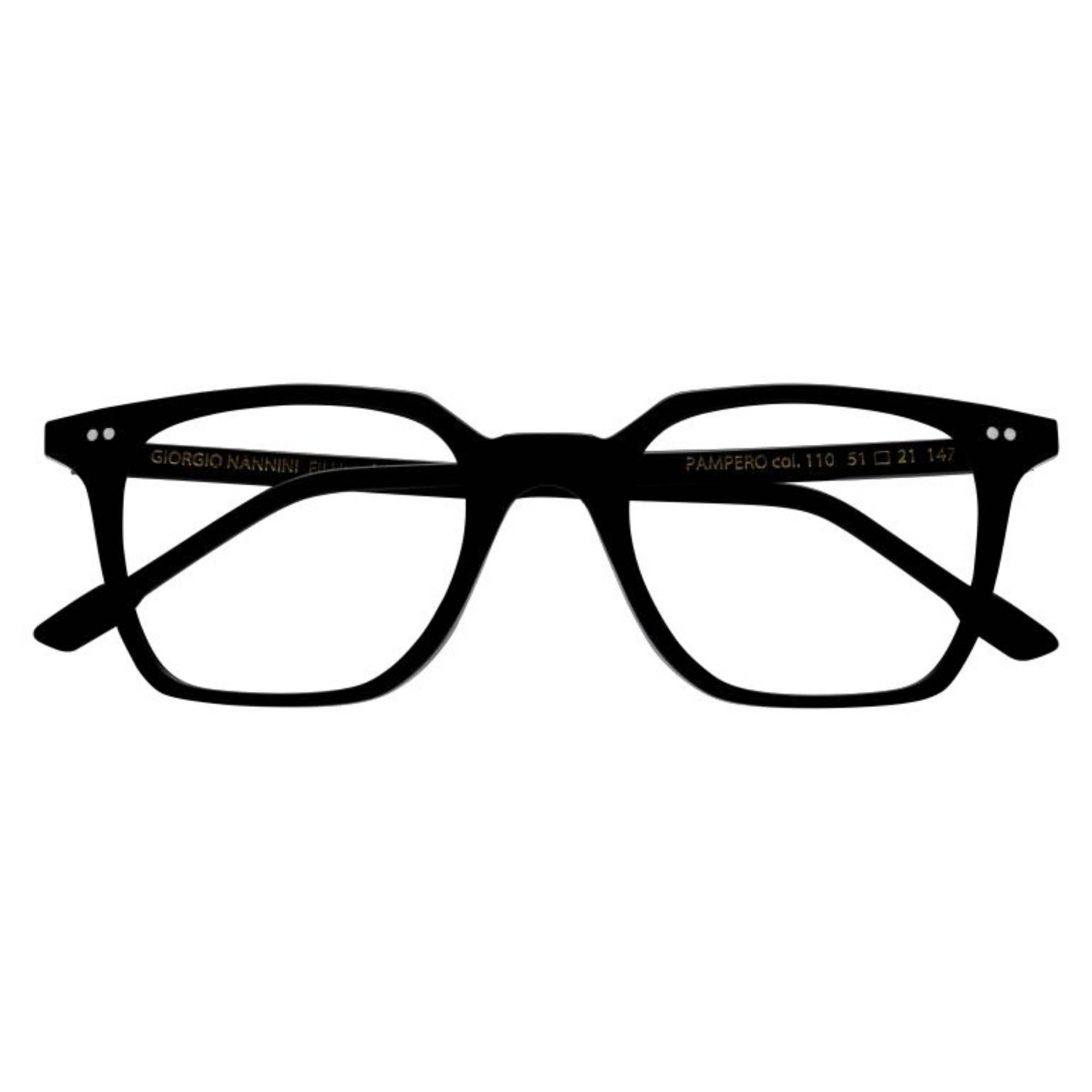 GIORGIO NANNINI PAMPERO COL.110 - 1