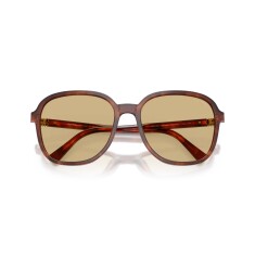 MIU MIU B01S 26E10R 58 Sunglasses - 5