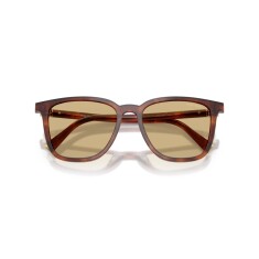 MIU MIU B03S 26E10R 53 Sunglasses - 5