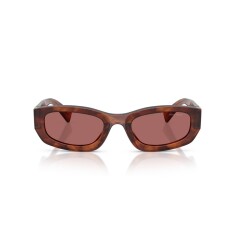 MIU MIU B04S 26E80B 53 Sunglasses - 2