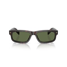 PRADA B11S 17N20G 55 Polarize Kahverengi Unisex Güneş Gözlüğü 