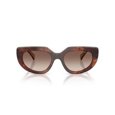 PRADA D02S 00K10S 53 Sunglasses - 2