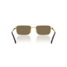 PRADA D54S 24J90F 55 Sunglasses - 4