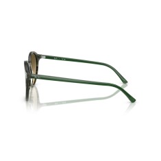 RAY-BAN 2230 14210A 51 Sunglasses - 3