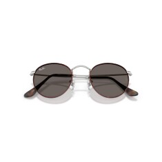 RAY-BAN 3447 9277B1 50 Sunglasses - 5