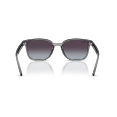 RAY-BAN 4461D 64508G 64 Солнцезащитные очки - 4