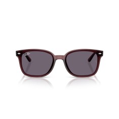 RAY-BAN 4461D 659373 64 Sunglasses - 2