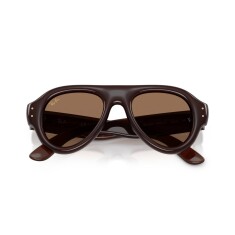 RAY-BAN 4925 689673 52 Güneş Gözlüğü - Görsel 5