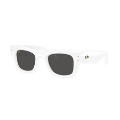 RAY-BAN 4940 671 87 47 Sunglasses - 1
