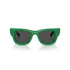 RAY-BAN 4940 683487 47 Солнцезащитные очки - 2