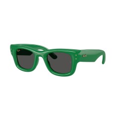 RAY-BAN 4940 683487 47 Yeşil Kadın Güneş Gözlüğü - 1