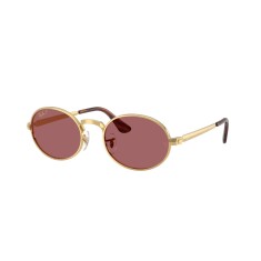 RAY-BAN ASAP Rocky 3931 001/AF 54 Güneş Gözlüğü - Görsel 1