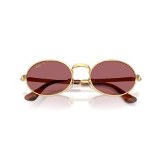 RAY-BAN ASAP Rocky 3931 001/AF 54 Güneş Gözlüğü - Görsel 5