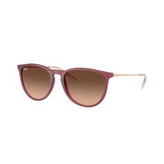 RAY-BAN Round 4171 6815/A5 54 Güneş Gözlüğü - 1