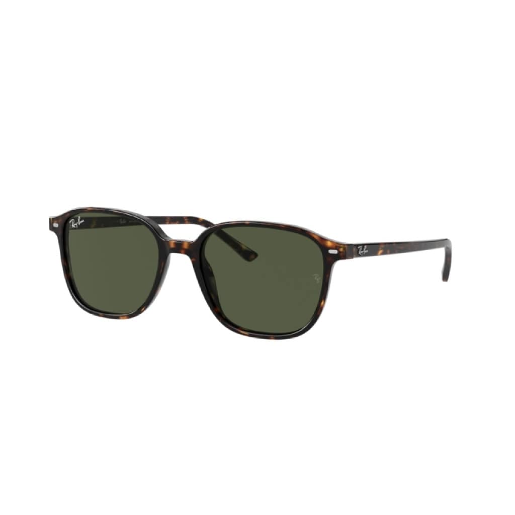 Ray-Ban Leonard 2193 902/31 55 Kahverengi Unisex Güneş Gözlüğü - 2