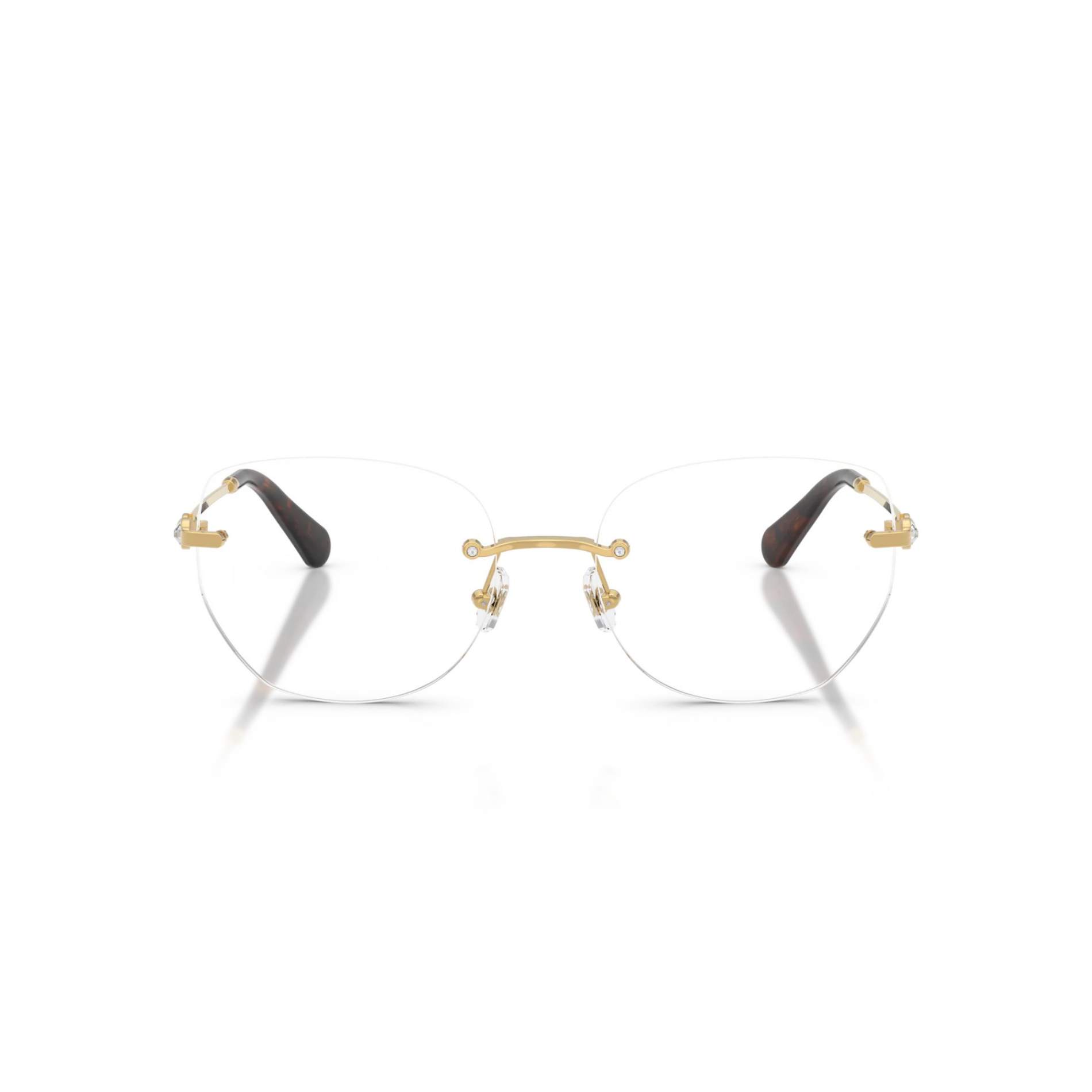 SWAROVSKİ 1038 4004 54 Optic - 2